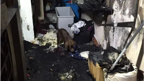 NIFRS Reggie is trained to detect of an accelerant has been used in a fire