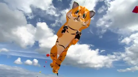 Kite shaped like tiger