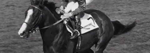 PA An unissued library picture of Shergar with Walter Swinburn in the saddle