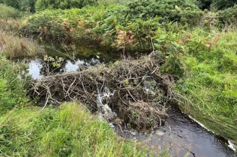 National Trust/Helen McDonald A dam