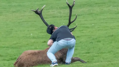 Ted Shillitto/KNSNews Man taking selfie with stag at Wollaton Park