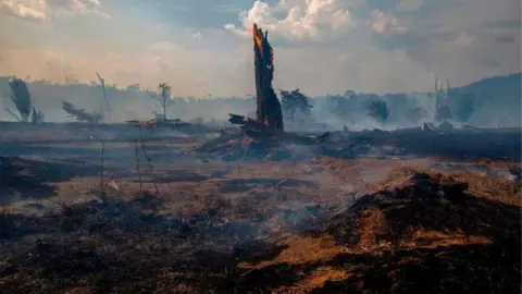 Getty Images Fires in Brazil