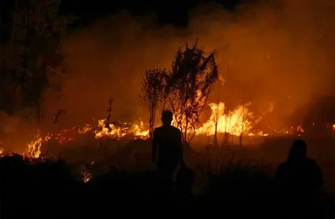 Getty Images A firefighter in Ogan Ilir, South Sumatra, Indonesia