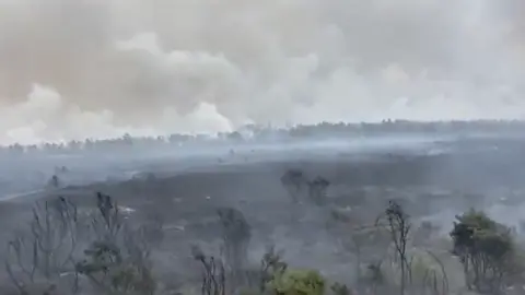 Surrey Fire and Rescue Service Pirbright Ranges alight