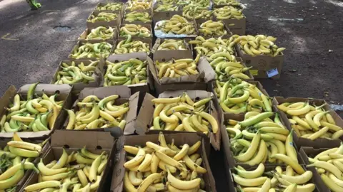 Several boxes of bananas