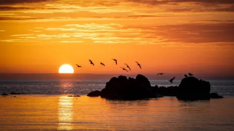 A flock of seagulls fly over a pile of rocks at sunset. The sea around the rocks is very calm and the sky is a deep orange. The sun is dropping below the horizon.