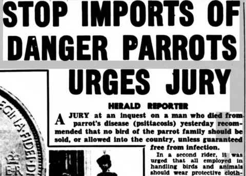 Daily Herald newspaper headline