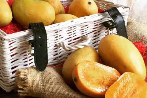 Red Rickshaw mangoes in a basket
