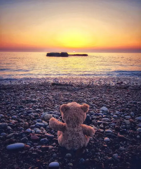 Kathleen Ann O'Donnell Teddy on a beach