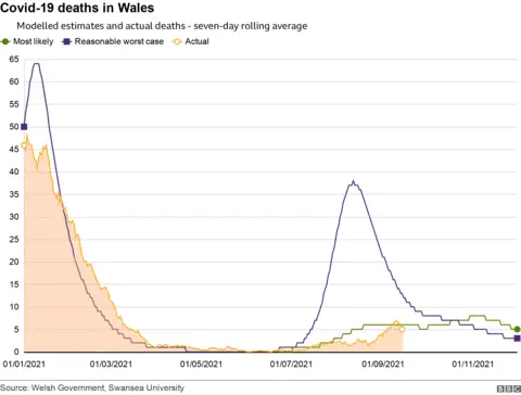 Modelling showing the number of Covid deaths