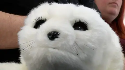 Robotic seal's face.