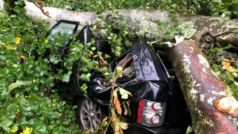 Samantha Salvoni Tree on top of car