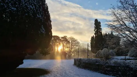 Dazzjd | Weather Watchers Snowy garden in Heath, Cardiff