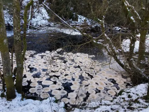 Angela Conroy Ice pancakes