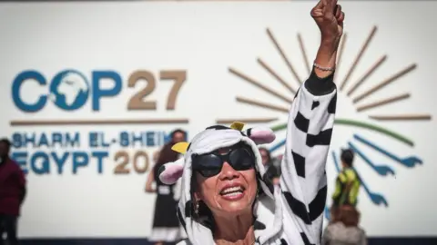 SEDAT SUNA/EPA-EFE/REX/Shutterstock COP27