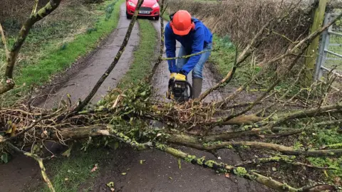 Man cutting fallen tree with chainsaw