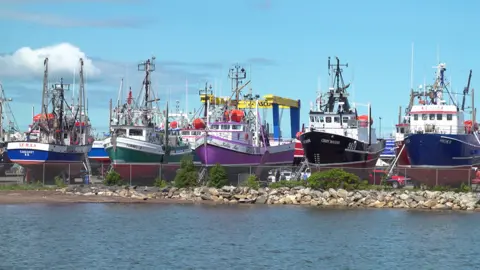 BBC Snow crab fishing boats in dry dock in Shippagan, New Brunswick