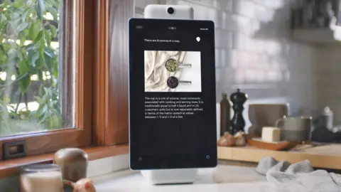 Facebook Portal+