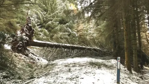 Forestry and Land Scotland Closed route