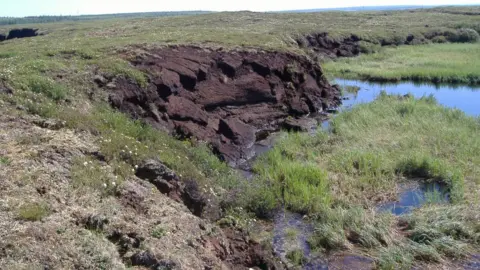 Gustaf Hugelius permafrost