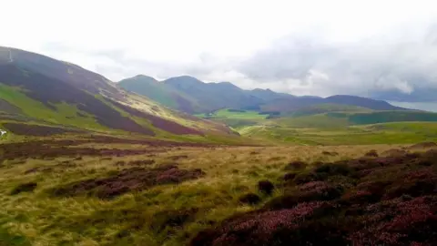 Carole Fortune Pentland Hills skyline