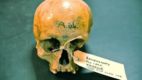 Daniel Bradley, Trinity College Dublin Ballynahatty skull