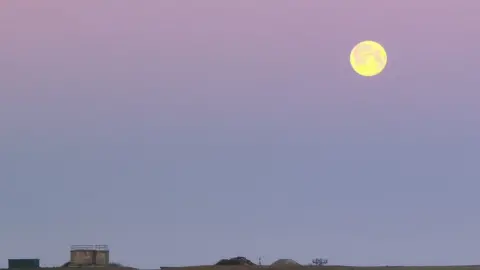 Mark Carter Newquay Airport