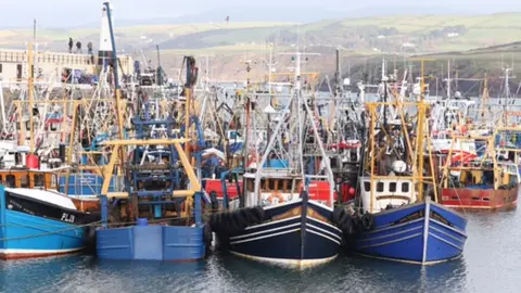 Tracey's Pictures King Scallop Boats, Peel Harbour