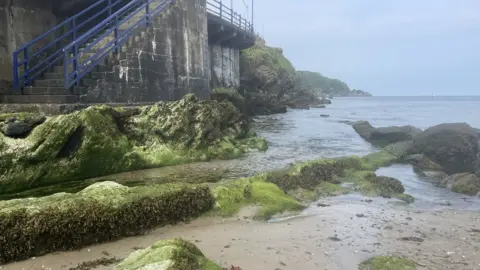 Jonah FIsher/BBC The River Umber at Combe Martin