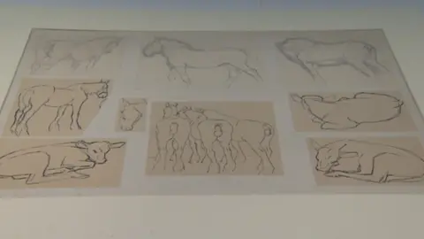 Sir Alfred Munnings Some of the drawings featured in the exhibition
