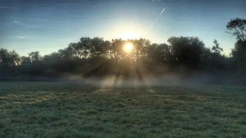 Jamie Lisa Smith Sunshine