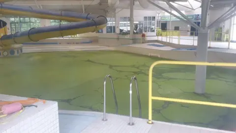 Barry Harding Green swimming pool