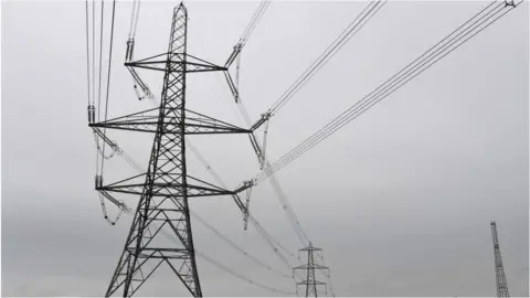 Getty Images Electricity pylons in Wales