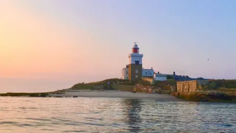 RSPB Coquet Island