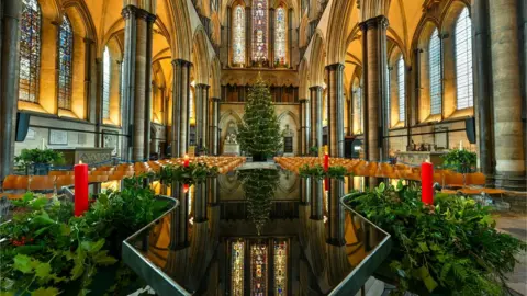 Finnbar Webster Salisbury Cathedral's 32ft tree