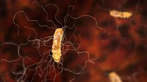 Getty Images Clostridium difficile