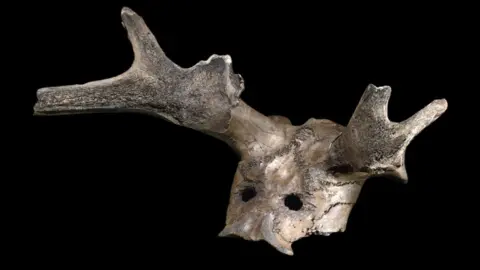 British Museum Deer antler mask - courtesy of the trustees of the British Museum