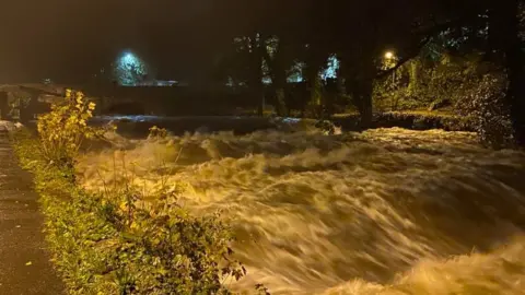 Dennis Martin High water levels on River Tavy