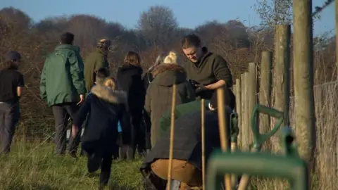 BBC Young People's Forest