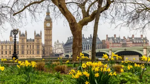 Getty Images Parliament