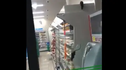 @Ginkai19990324 Two rats appear on the side of a refrigerated cabinet in a Family Mart store