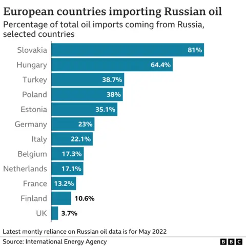 Graphic showing the percentage of total oil imports coming from Russia to selected European countries