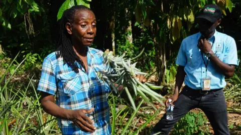 BBC Denise Reid holds up one of the pineapples she has planted