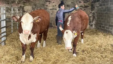 Non Thorne and two cows