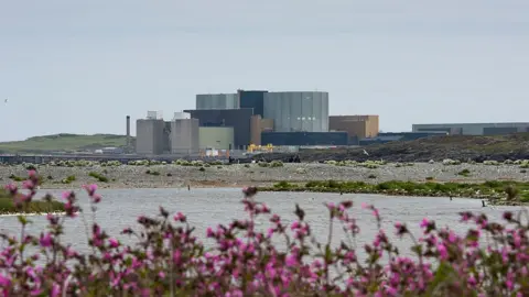 Getty Images Wylfa Nuclear Power Station at Cemaes Bay, Anglesey, North Wales.