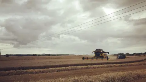 Esther Johnson Farming field