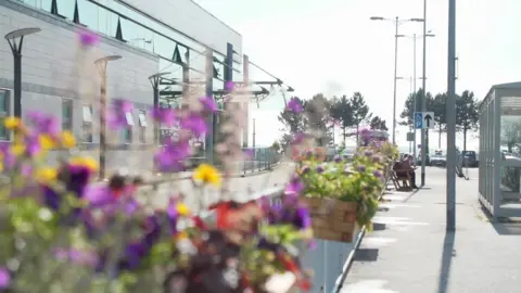Flowers at Ysbyty Gwynedd