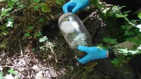 Dyfed-Powys Police Drugs pulled from the undergrowth by police