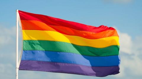 Pride: DUP challenges ABC council flag flying decision - BBC News