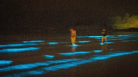 Joleen Cronin Fountainstown beach